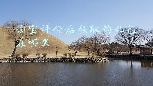 淘宝评价后领取的礼包在哪里