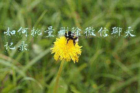 如何批量删除微信聊天记录