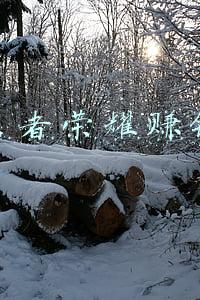 王者荣耀赚钱