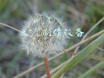 做豆腐设备(自动豆腐机器都可以做哪些豆制品？)