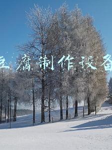豆腐制作设备