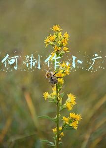 如何制作小广告