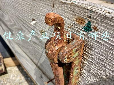 健康产业项目有哪些