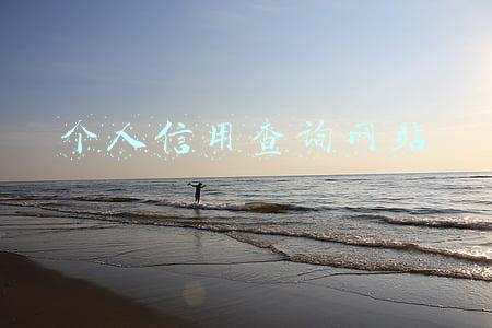 个人信用信息平台查询(失信被执行人查询平台)