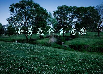 移动小号是什么意思(360与移动联合推出“小号”功能，一卡多号任性用！)