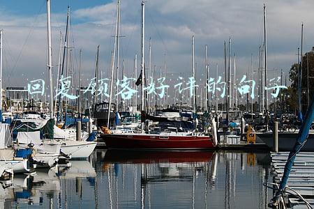 回复顾客好评的句子