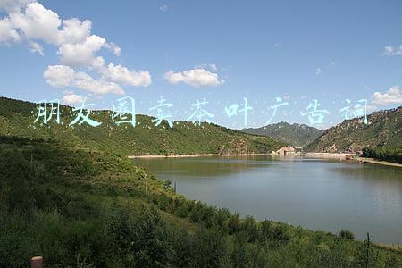 朋友圈卖茶叶广告词