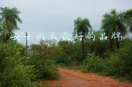女士内衣最好的品牌