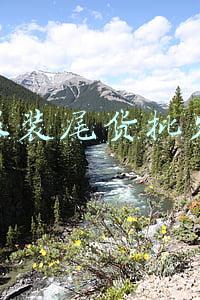 服装尾货批发平台(解决积压“痛点”，聚焦库存尾货，这款App上线首月销售额破5000万)