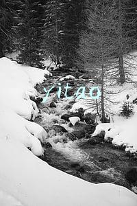 yitao