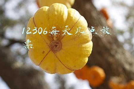 12306每天几点放票