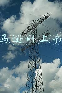 亚马逊网上书店是一家以什么业务为主的电子商务企业(2020年电商182电子商务考证含答案)