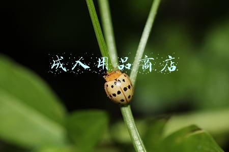 成人用品商店无人售货,如何操作购物(成人用品售货机+外卖前置仓，共享经济新“躺赚”点来了？)