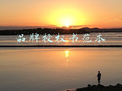 品牌授权书范本