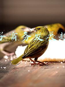 电子商务发展趋势