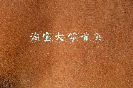 淘宝大学首页