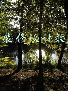 店面装修设计效果图