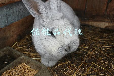 保健品代理方案(保健品企业全网营销策划方案)