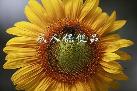 成人保健品