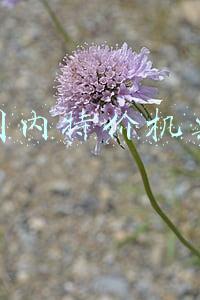 国内特价机票在哪里买便宜(低至1折！节后国内机票“白菜价”，你还有出行计划吗？)