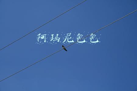 阿玛尼包包