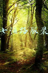 上海七浦路服装批发