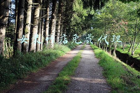 女装加盟咨询热线(西小妹时尚女装加盟)