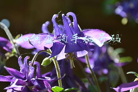 如何查询手机号码