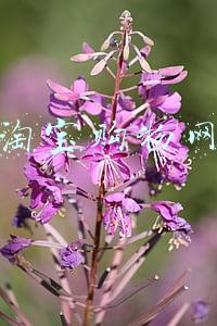 淘宝购物网
