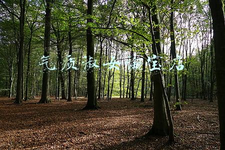 气质淑女淘宝店