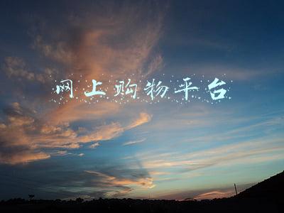 网上购物平台