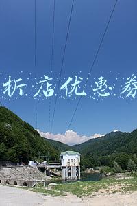 1折店优惠券