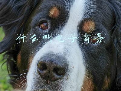 什么叫电子商务功能未开通(创业板3过3 软件商三维天地被三问无形资产)