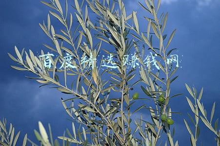 百度百赚官网(学习理财心得，从1000元到10万元迈进)