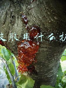 过敏皮肤用什么护肤品