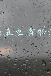 垂直电商物流