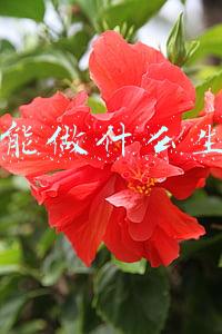 2w能做什么生意