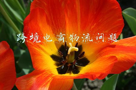 跨境电商物流问题