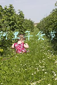阿里年货节