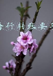 网上跨行转账要手续费吗