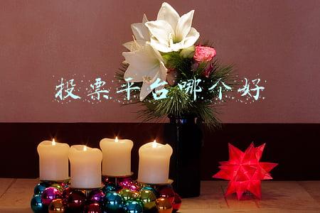专门投票的平台(在线投票系统(支持微信))