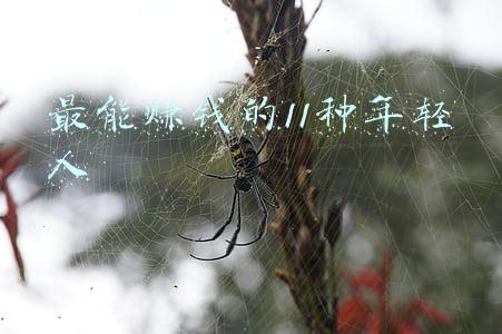 最能赚钱的11种年轻人