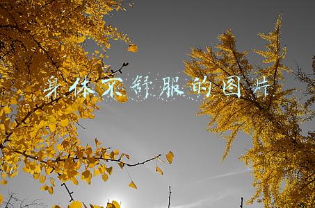 身体不舒服的图片