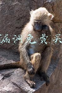 淘宝漏洞免费买东西