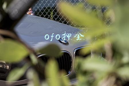 ofo押金