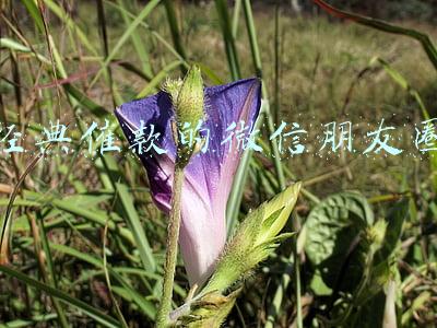 经典催款的微信朋友圈