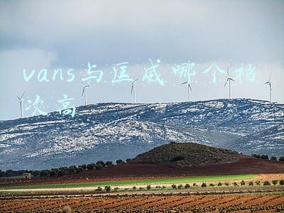 vans与匡威哪个档次高