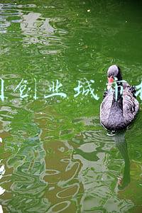 中国创业城市排名
