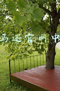 亚马逊官网中国