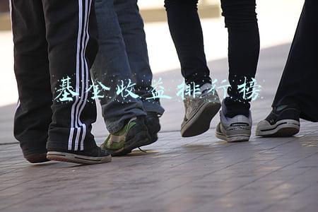 基金收益排行榜